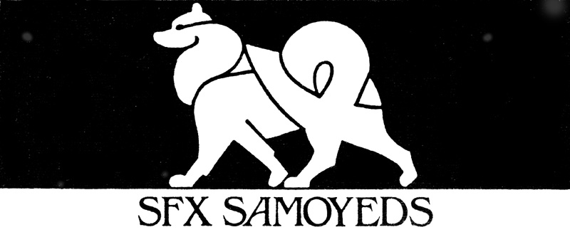 SFX logo